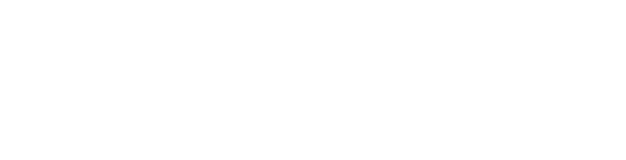 Bonito XP 